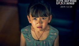 甄珍爆料王菲是真的吗视频,视频爆料背后的惊人内幕