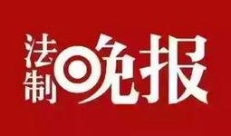 生活今日爆料图片高清,高清图片曝光，今日爆料背后的惊人真相