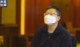何浩鹏新女友爆料视频,揭秘恋情细节与过往情史