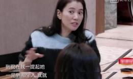 袁咏仪爆料娱乐圈视频,真实与虚幻的碰撞