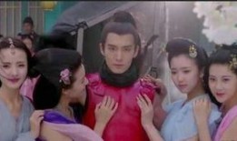 太子妃升职记全集在线观看,宫廷权谋，逆袭之路