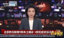 北京胖姐爆料新闻视频播放,新闻视频播放背后的真相揭秘